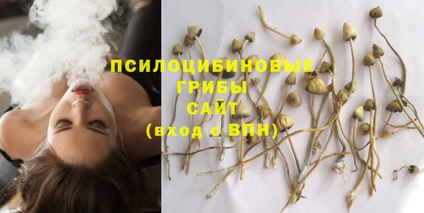 СК Абдулино